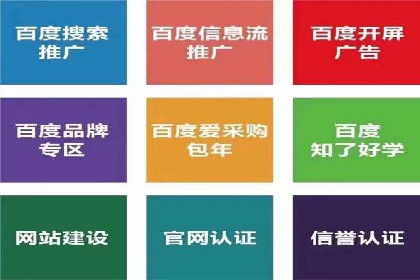 不同平台的SEM广告投放比较及成功案例分析